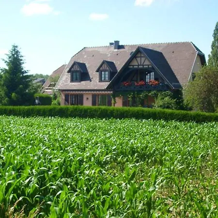 A Hochfelden - 100 M² Et Parking Gratuit דירה Gottesheim