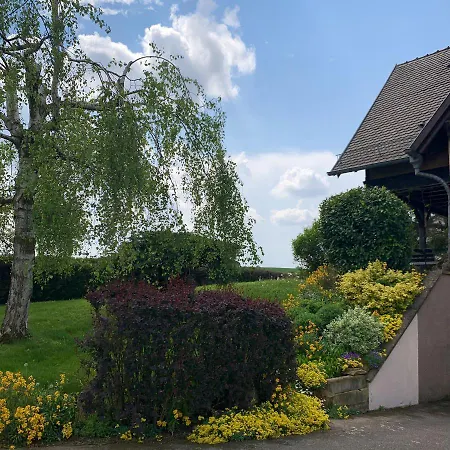 דירה A Hochfelden - 100 M² Et Parking Gratuit Gottesheim