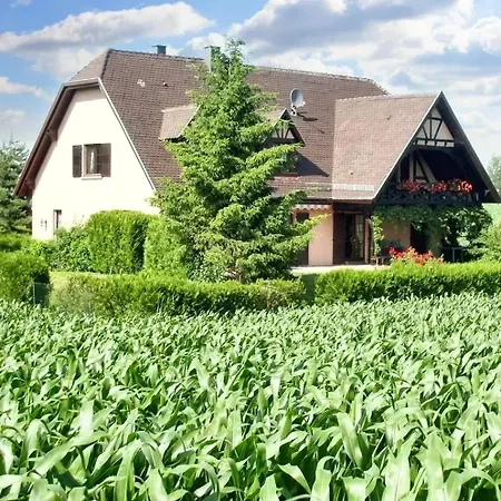 De 2 Avec Jardin Clos Et Wifi A Hochfelden Gottesheim