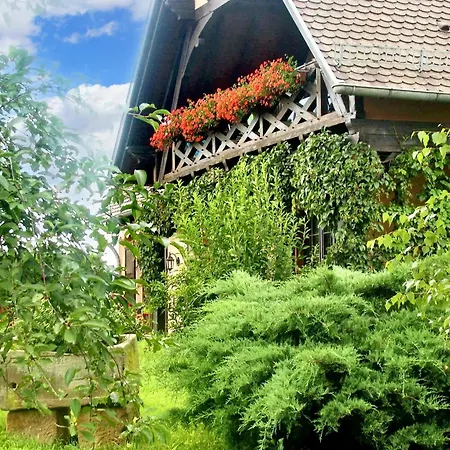 דירה A Hochfelden - 100 M² Et Parking Gratuit