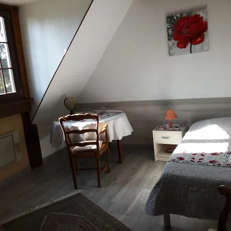 A Hochfelden - 100 M² Et Parking Gratuit דירה *