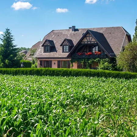 Appartement De 2 Avec Jardin Clos Et Wifi A Hochfelden