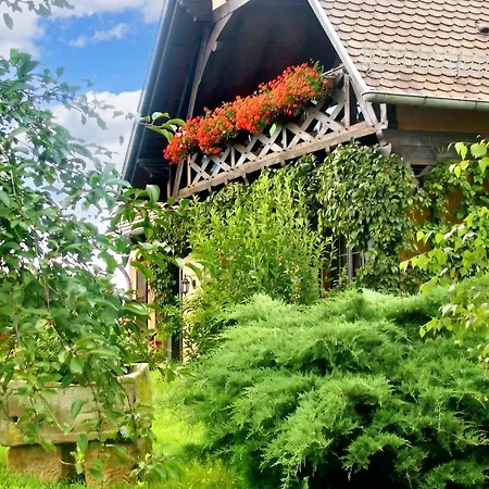 De 2 Avec Jardin Clos Et Wifi A Hochfelden * Gottesheim