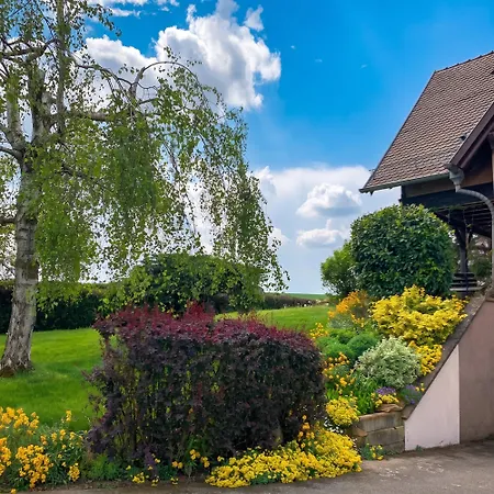 Appartement De 2 Avec Jardin Clos Et Wifi A Hochfelden *