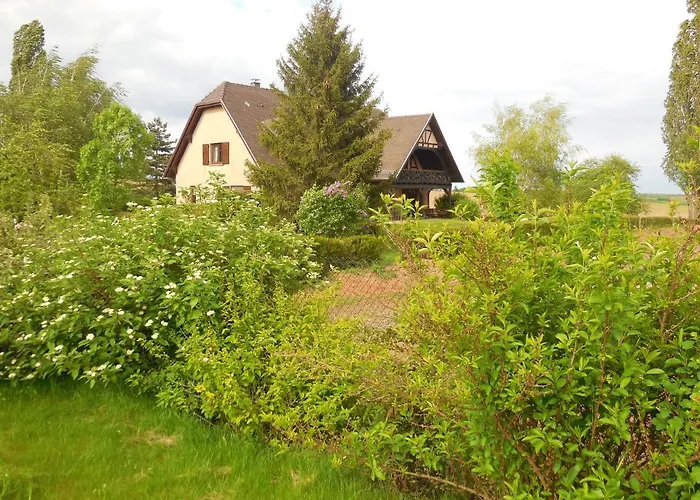 公寓 A Hochfelden - 100 M² Et Parking Gratuit *