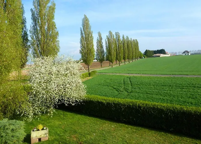 A Hochfelden - 100 M² Et Parking Gratuit 公寓 Gottesheim