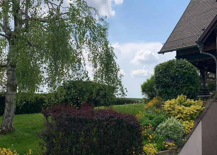 公寓 A Hochfelden - 100 M² Et Parking Gratuit Gottesheim