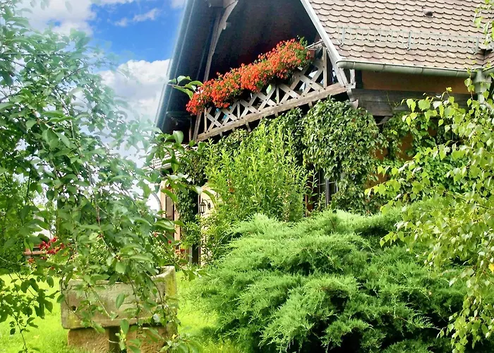 公寓 A Hochfelden - 100 M² Et Parking Gratuit